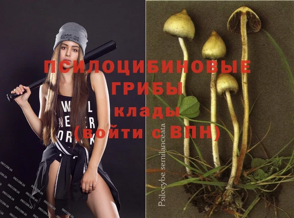 МДМА Арсеньев