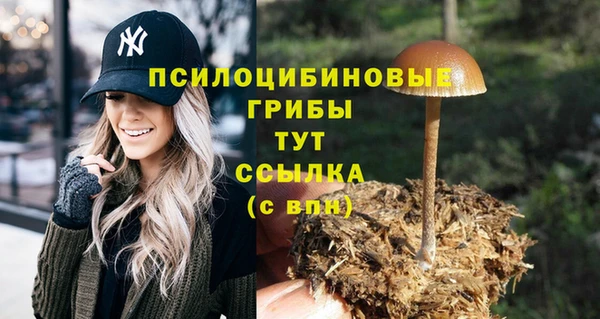 МДМА Арсеньев