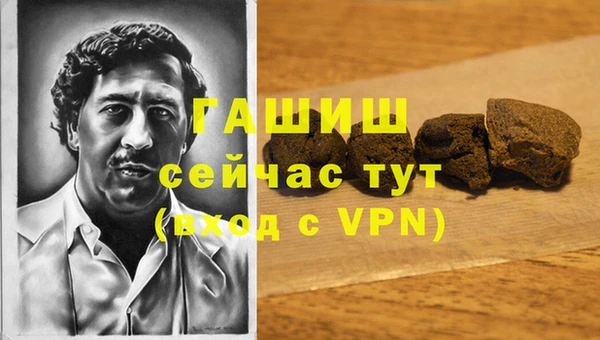 хмурый Алзамай