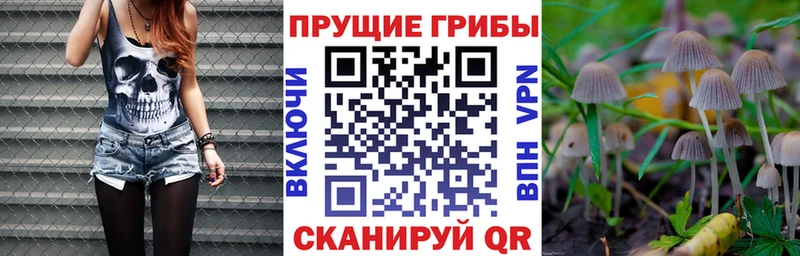 MEGA ссылка  хочу   Боровичи  площадка официальный сайт  Псилоцибиновые грибы Psilocybine cubensis 